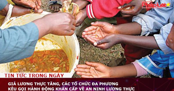 Giá lương thực tăng, các tổ chức đa phương kêu gọi hành động khẩn cấp về an ninh lương thực