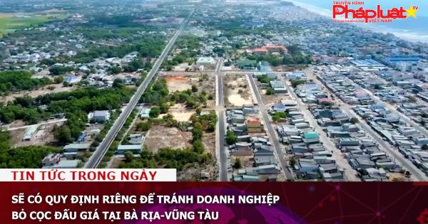 Sẽ có quy định riêng để tránh doanh nghiệp bỏ cọc đấu giá tại Bà Rịa-Vũng Tàu