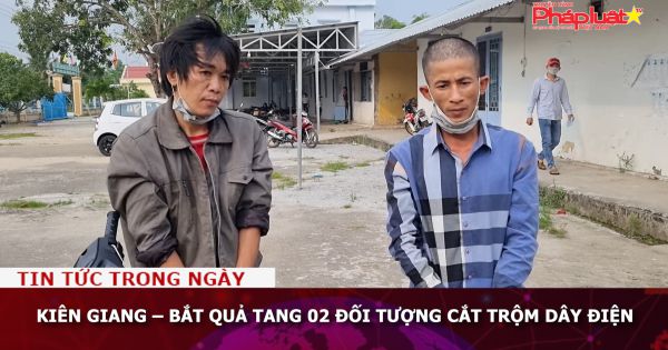 Kiên Giang – Bắt quả tang 02 đối tượng cắt trộm dây điện