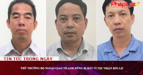 Thứ trưởng Bộ Ngoại giao Tô Anh Dũng bị bắt vì tội 'Nhận hối lộ'