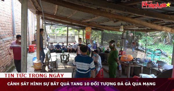 Cảnh sát hình sự bắt quả tang 10 đối tượng đá gà qua mạng