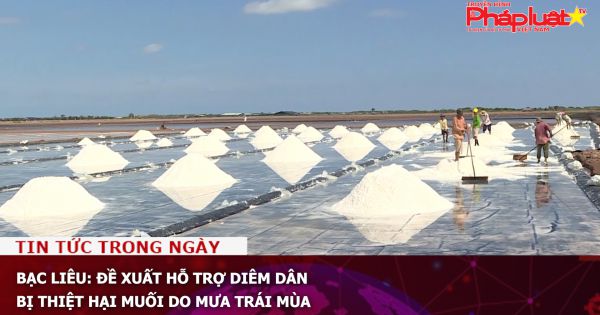Bạc Liêu: Đề xuất hỗ trợ diêm dân bị thiệt hại muối do mưa trái mùa
