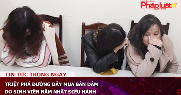 Triệt phá đường dây mua bán dâm do sinh viên năm nhất điều hành