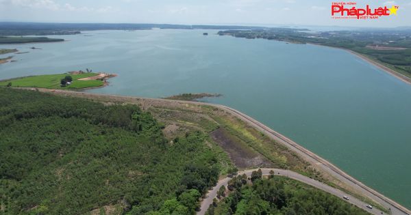 Bên dòng sông Đồng Nai