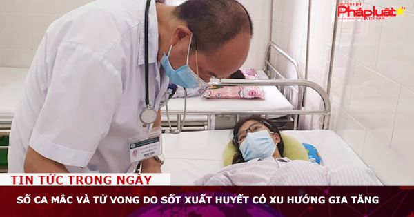 Số ca mắc và tử vong do sốt xuất huyết có xu hướng gia tăng