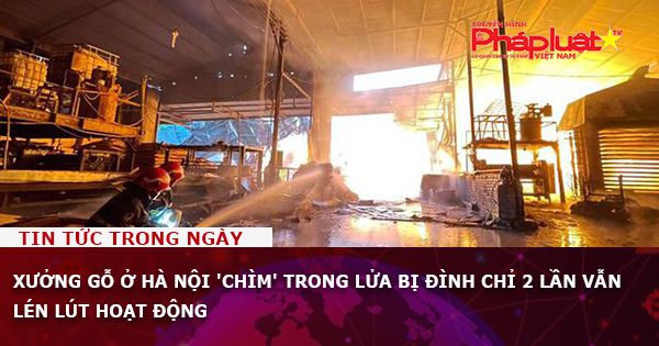 Xưởng gỗ ở Hà Nội 'chìm' trong lửa bị đình chỉ 2 lần vẫn lén lút hoạt động