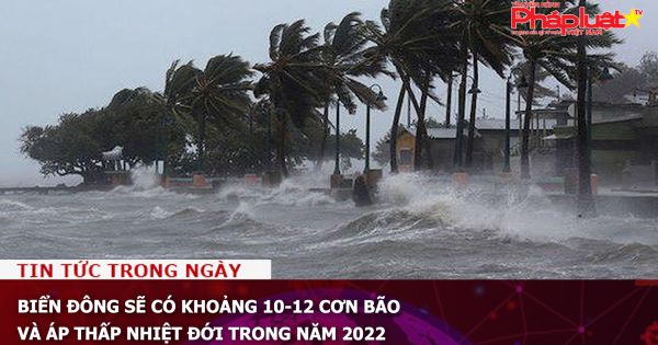 Biển Đông sẽ có khoảng 10-12 cơn bão và áp thấp nhiệt đới trong năm 2022