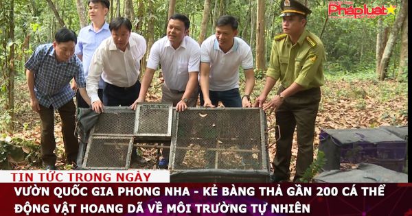 Vườn quốc gia Phong Nha - Kẻ Bàng thả gần 200 cá thể động vật hoang dã về môi trường tự nhiên