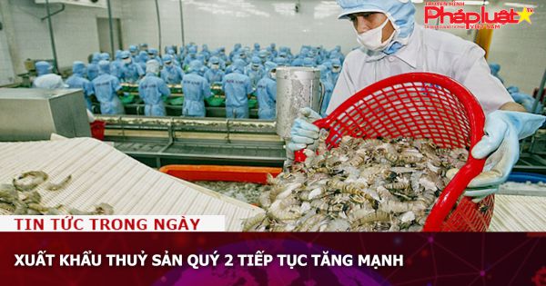 Xuất khẩu thuỷ sản quý 2 tiếp tục tăng mạnh
