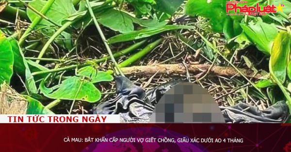 Cà Mau: Bắt khẩn cấp người vợ giết chồng, giấu xác dưới ao 4 tháng