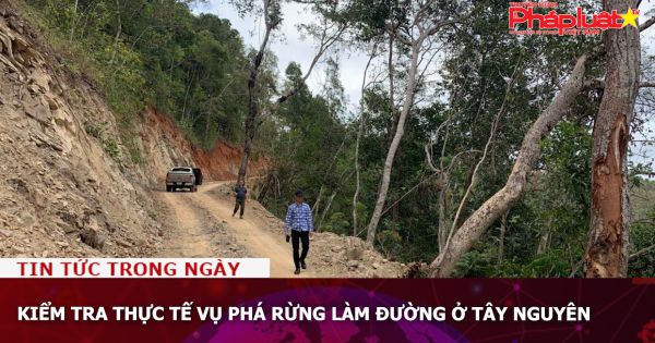 Kiểm tra thực tế vụ phá rừng làm đường ở Tây Nguyên