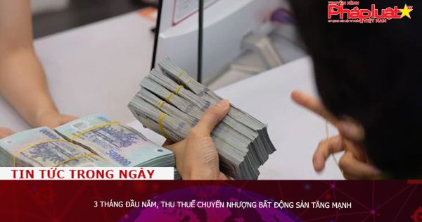 3 tháng đầu năm, thu thuế chuyển nhượng bất động sản tăng mạnh