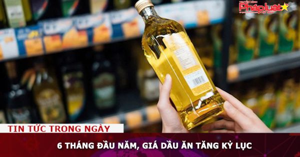 6 tháng đầu năm, giá dầu ăn tăng kỷ lục