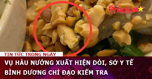 Vụ hàu nướng xuất hiện dòi, Sở Y tế Bình Dương chỉ đạo kiểm tra