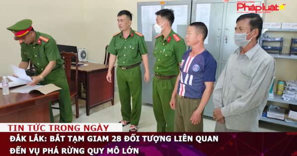 Đắk Lắk: Bắt tạm giam 28 đối tượng liên quan đến vụ phá rừng quy mô lớn