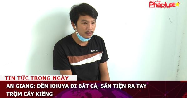 An Giang: Đêm khuya đi bắt cá, sẵn tiện ra tay trộm cây kiểng