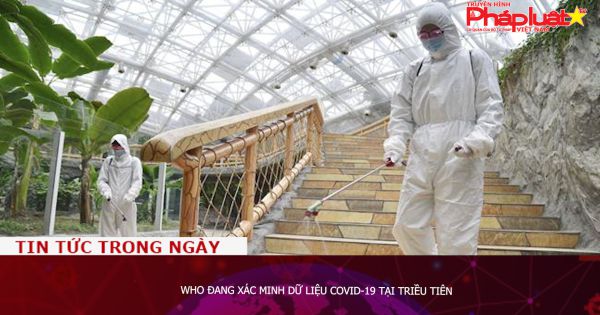 WHO đang xác minh dữ liệu Covid-19 tại Triều Tiên