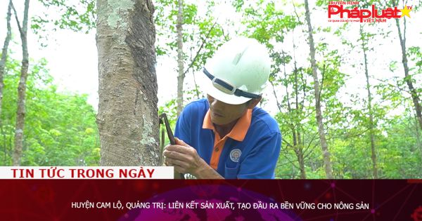 Huyện Cam Lộ, Quảng Trị: Liên kết sản xuất, tạo đầu ra bền vững cho nông sản