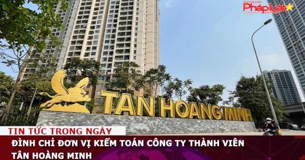 Đình chỉ đơn vị kiểm toán công ty thành viên Tân Hoàng Minh