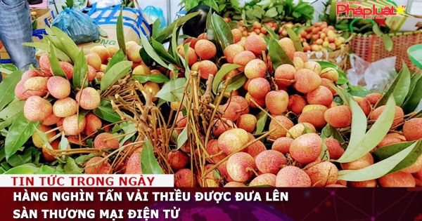 Hàng nghìn tấn vải thiều được đưa lên sàn thương mại điện tử