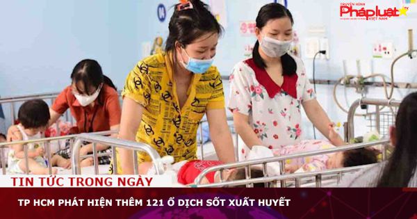 TP HCM phát hiện thêm 121 ổ dịch sốt xuất huyết