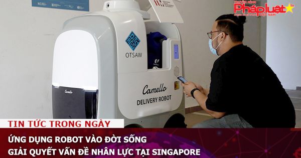 Ứng dụng robot vào đời sống, giải quyết vấn đề nhân lực tại Singapore