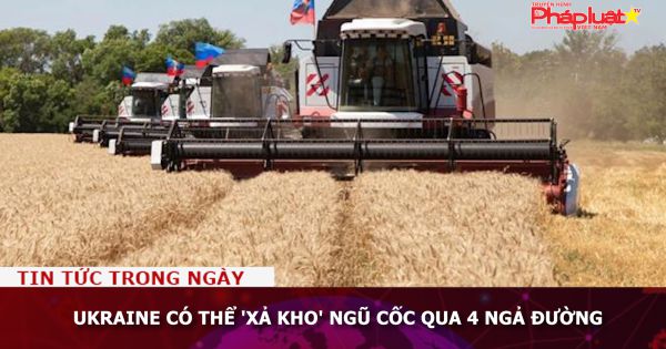 Ukraine có thể 'xả kho' ngũ cốc qua 4 ngả đường