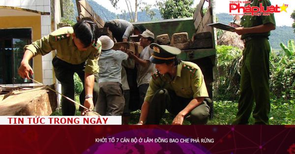 Khởi tố 7 cán bộ ở Lâm Đồng bao che phá rừng