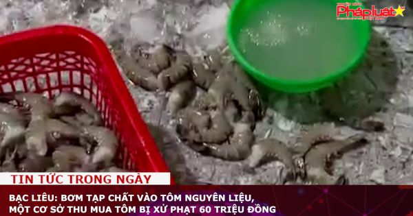 Bạc Liêu: Bơm tạp chất vào tôm nguyên liệu, một cơ sở thu mua tôm bị xử phạt 60 triệu đồng