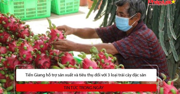 Tiền Giang hỗ trợ sản xuất và tiêu thụ đối với 3 loại trái cây đặc sản