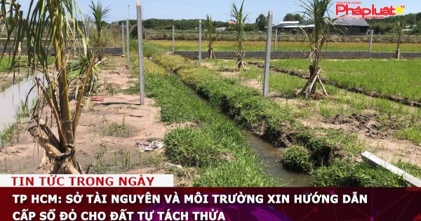 TP HCM: Sở Tài nguyên và Môi trường xin hướng dẫn cấp sổ đỏ cho đất tự tách thửa