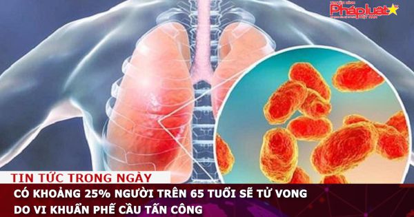 Có khoảng 25% người trên 65 tuổi sẽ tử vong do vi khuẩn phế cầu tấn công