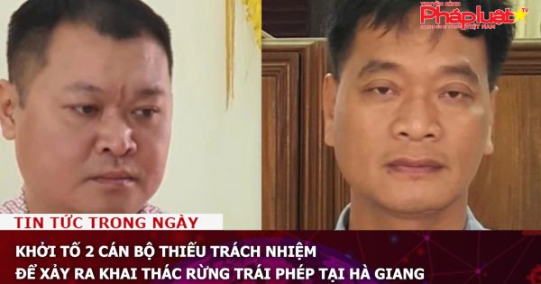 Khởi tố 2 cán bộ thiếu trách nhiệm để xảy ra khai thác rừng trái phép tại Hà Giang