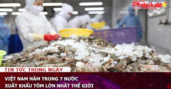 Việt Nam nằm trong 7 nước xuất khẩu tôm lớn nhất thế giới