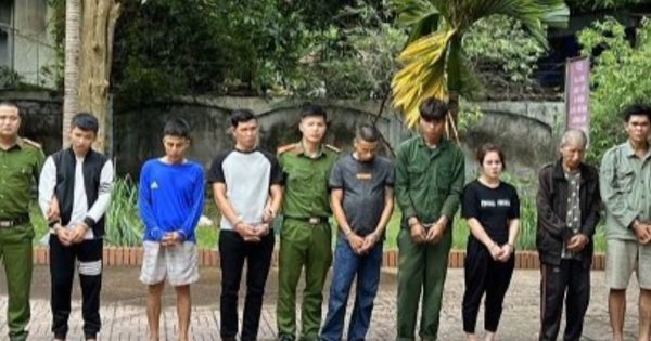 Nghệ An Triệt xoá tụ điểm bán lẻ ma tuý phức tạp