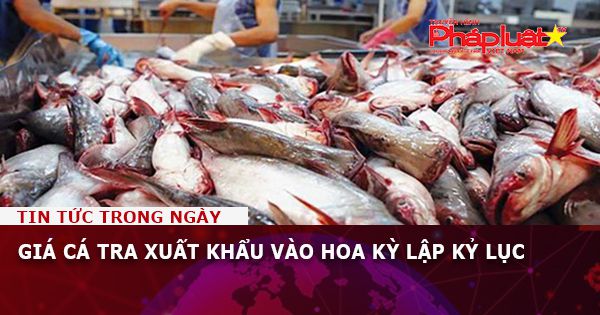 Giá cá tra xuất khẩu vào Hoa Kỳ lập kỷ lục