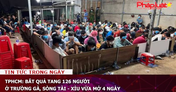 TPHCM: Bắt quả tang 126 người ở trường gà, sòng tài - xỉu vừa mở 4 ngày