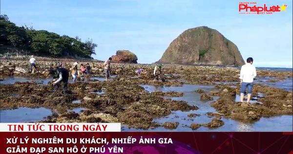 Xử lý nghiêm du khách, nhiếp ảnh gia giẫm đạp san hô ở Phú Yên