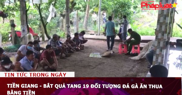 Tiền Giang - Bắt quả tang 19 đối tượng đá gà ăn thua bằng tiền