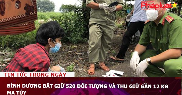 Bình Dương bắt giữ 520 đối tượng, thu giữ gần 12 kg ma túy