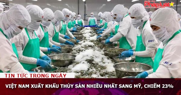Việt Nam xuất khẩu thủy sản nhiều nhất sang Mỹ, chiếm 23%