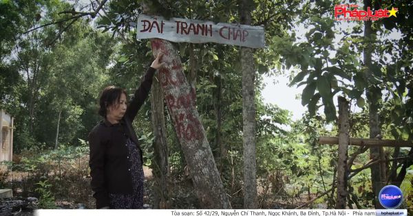 Long An: Liệu có uẩn khúc sau đơn kêu cứu vay tiền, mất đất? (Kỳ 1)