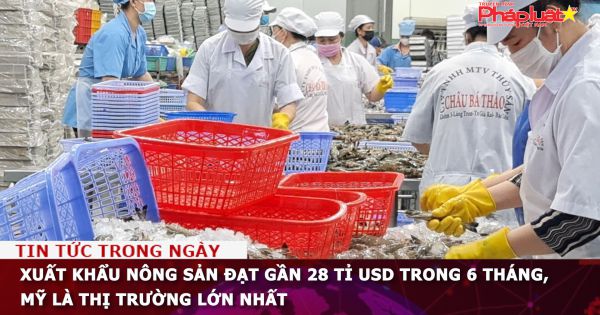 Xuất khẩu nông sản đạt gần 28 tỉ USD trong 6 tháng, Mỹ là thị trường lớn nhất
