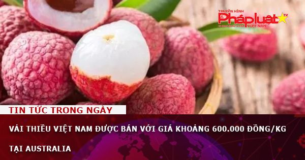 Vải thiều Việt Nam được bán với giá khoảng 600.000 đồng/kg tại Australia