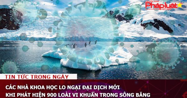 Các nhà khoa học lo ngại đại dịch mới khi phát hiện 900 loài vi khuẩn trong sông băng