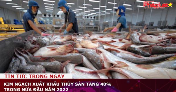 Kim ngạch xuất khẩu thủy sản tăng 40% trong nửa đầu năm 2022