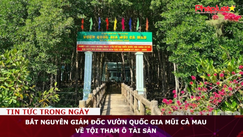 Bắt nguyên Giám đốc Vườn Quốc gia Mũi Cà Mau về tội tham ô tài sản