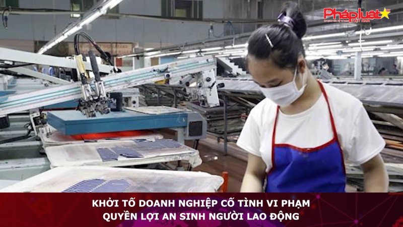 Khởi tố doanh nghiệp cố tình vi phạm quyền lợi an sinh người lao động