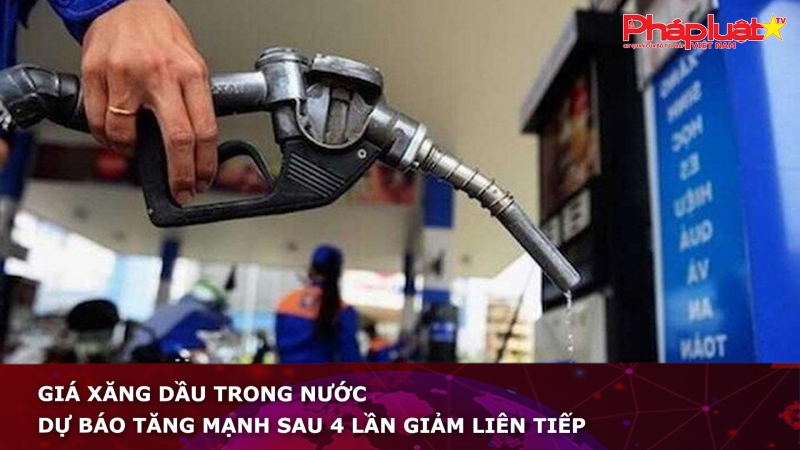 Giá xăng dầu trong nước dự báo tăng mạnh sau 4 lần giảm liên tiếp