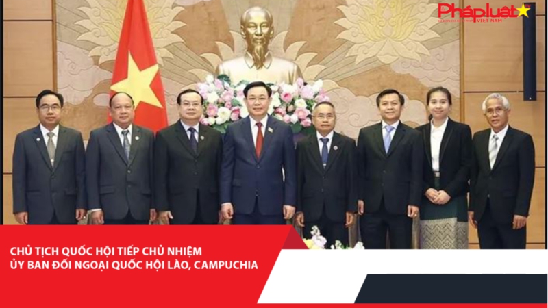 Chủ tịch Quốc hội tiếp Chủ nhiệm Ủy ban Đối ngoại Quốc hội Lào, Campuchia